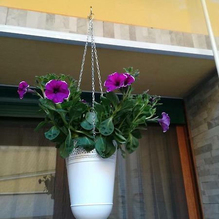 Ferienwohnung I Nuraghi II Cagliari Exterior foto